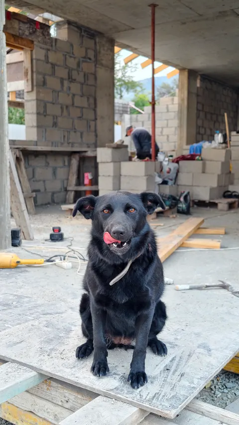 Будни TRAVA